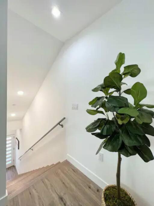 4Br Townhouse In Koreatown Los Angeles Exterior foto